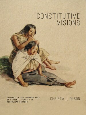 cover image of Constitutive Visions